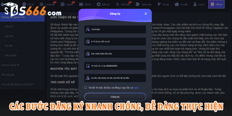 Các bước thực hiện quy trình đăng ký S666 một cách hiệu quả