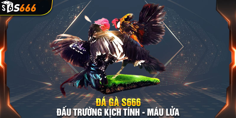 Hướng dẫn chi tiết để tham gia đặt cược tại đá gà s666